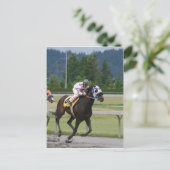 競馬 ポストカード (スタンド正面)