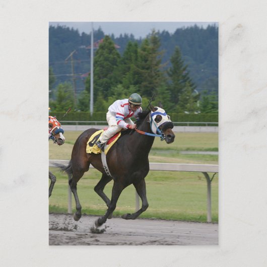 競馬 ポストカード (正面)