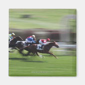 競馬 マグネット (正面)