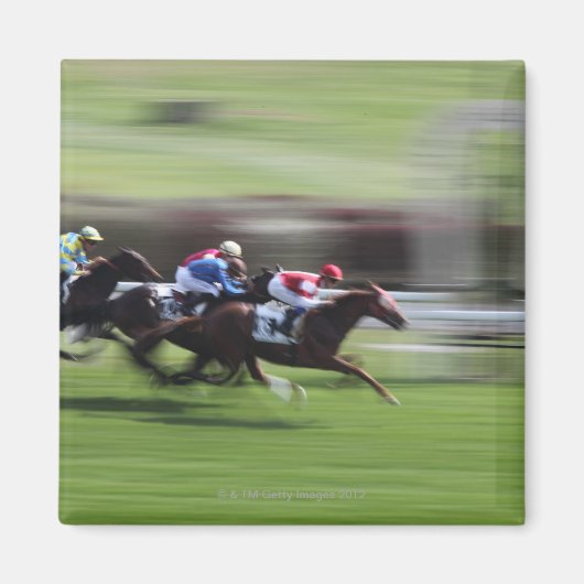 競馬 マグネット (正面)