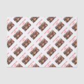 競馬 薄葉紙 (正面)