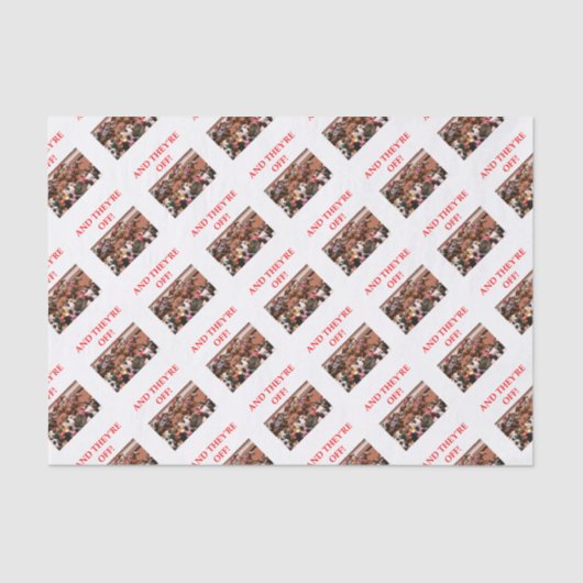 競馬 薄葉紙 (正面)