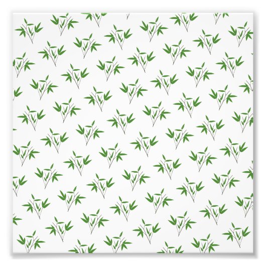 竹の小枝の模様 フォトプリント            (正面)