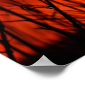 竹の後ろの夕日 ポスター (角)