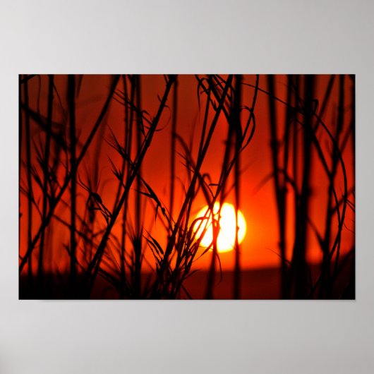 竹の後ろの夕日 ポスター (正面)