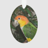 竹の木の付いた白い腹の付いたカイケの鸚鵡 オーナメント (裏面)