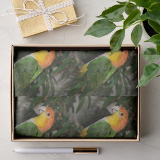 竹の木の付いた白い腹の付いたカイケの鸚鵡 薄葉紙 (ギフト)