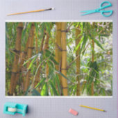 竹の木の切り離し15背景ティッシュペーパー 薄葉紙 (クラフト)