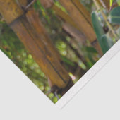 竹の木の切り離し15背景ティッシュペーパー 薄葉紙 (詳細)