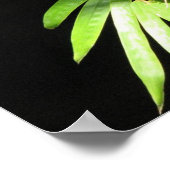 竹の蝶 ポスター (角)