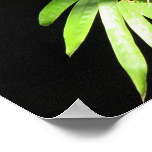 竹の蝶 ポスター (角)