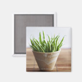 竹の表面にポットした緑豆 マグネット (正面/裏面)