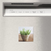 竹の表面にポットした緑豆 マグネット (インサイチュ (食洗機))