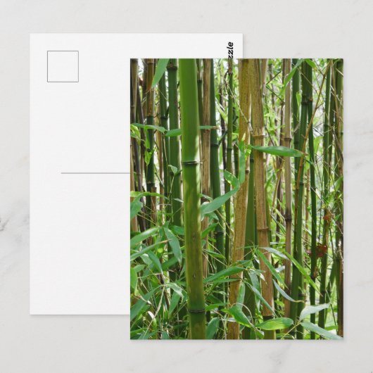 竹はがき ポストカード (正面/裏面)
