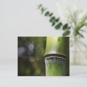 竹はがき（色） ポストカード (スタンド正面)