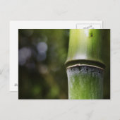 竹はがき（色） ポストカード (正面/裏面)