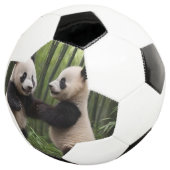 竹よくはしゃぐの森の中のベビーのパンダ サッカーボール (3/4)
