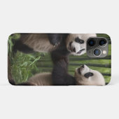 竹よくはしゃぐの森の中のベビーのパンダ Case-Mate iPhoneケース (裏面(横))