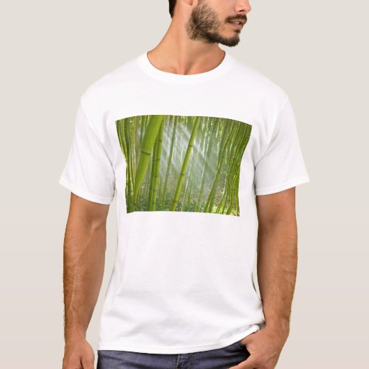 竹を透かす朝の陽ざし Tシャツ (正面)