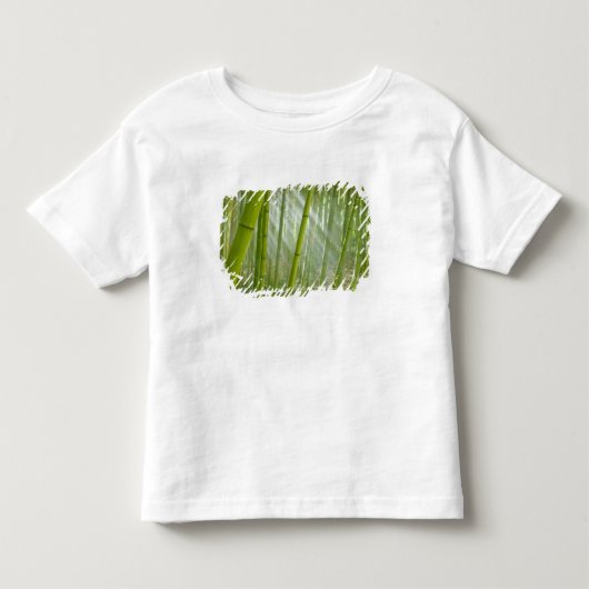 竹を通しての朝の陽光 トドラーTシャツ (正面)