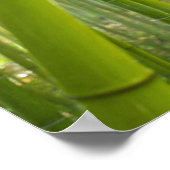 竹を通してろ過する朝日 ポスター (角)