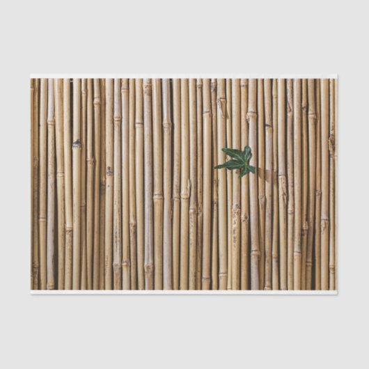 竹デコページ19背景ティッシュペーパー 薄葉紙 (正面)