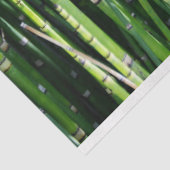 竹デコページ24背景ティッシュペーパー 薄葉紙 (詳細)