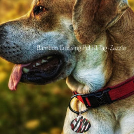 竹交差 ペット　ネームタグ