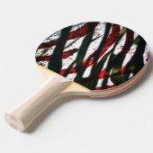 竹交差 卓球ラケット (正面アングル)