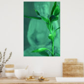 竹仏 ポスター (キッチン)