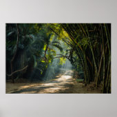 竹列 ポスター (正面)