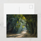 竹列 ポストカード (正面/裏面)