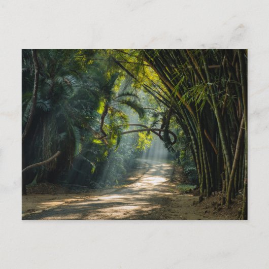 竹列 ポストカード (正面)