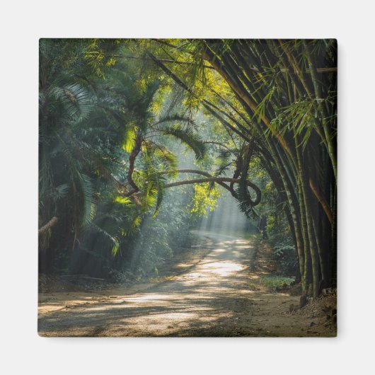 竹列 マグネット (正面)