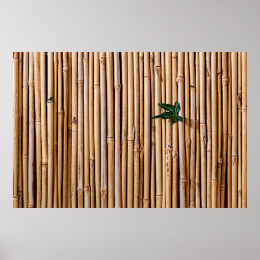 竹垣 ポスター (正面)