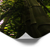 竹失ったの中で ポスター (角)