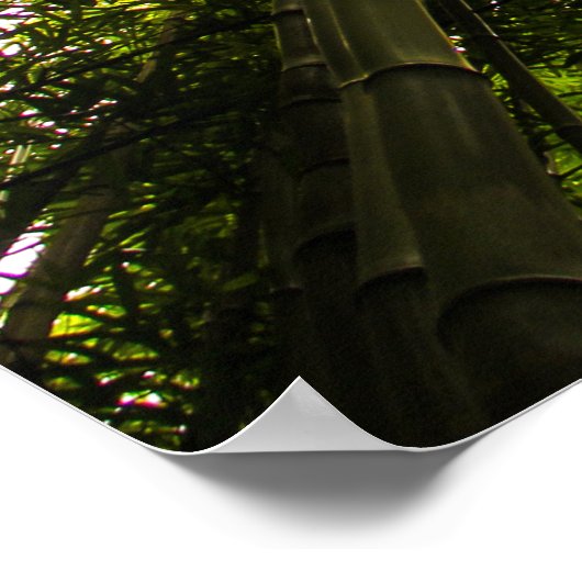 竹失ったの中で ポスター (角)