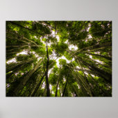 竹失ったの中で ポスター (正面)