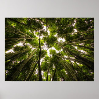 竹失ったの中で ポスター