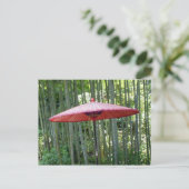 竹日本のの間の傘 ポストカード (スタンド正面)