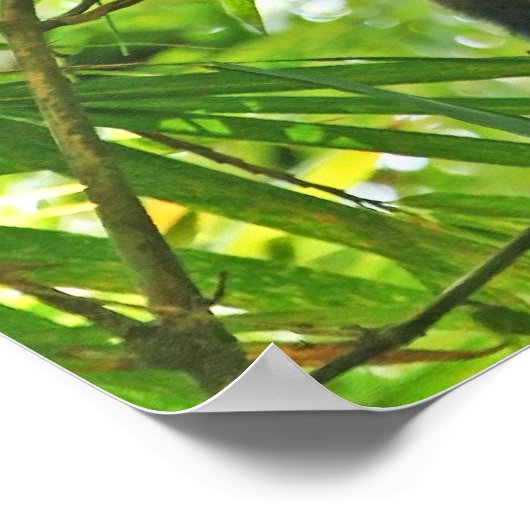 竹林のサル ポスター (角)