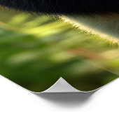 竹林の中で愛らしいパンダ ポスター (角)