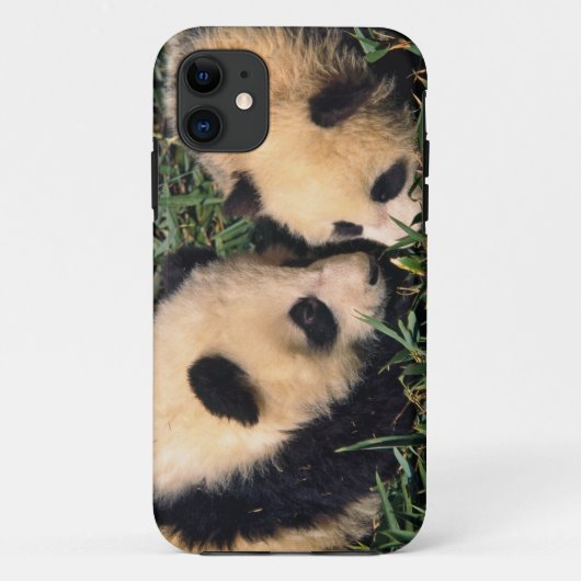 竹林の中の2頭のパンダの子、臥龍 Case-Mate iPhoneケース (裏面)