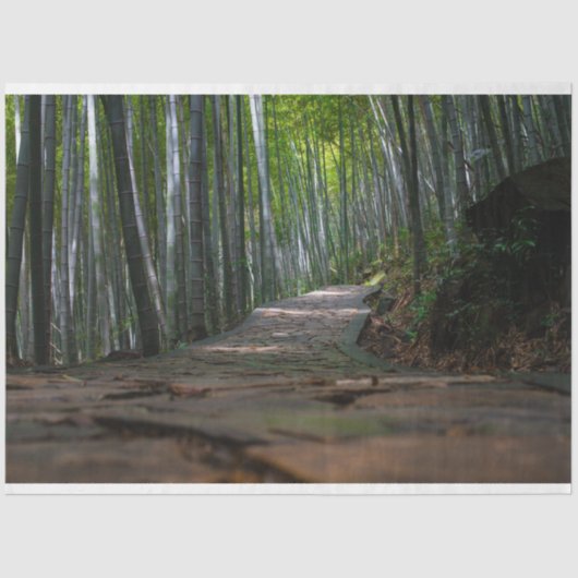 竹林の切り離し12背景  薄葉紙 (正面)