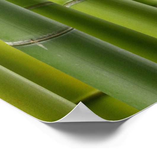 竹林ポスター ポスター (角)