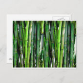 竹林自然 ポストカード (正面/裏面)