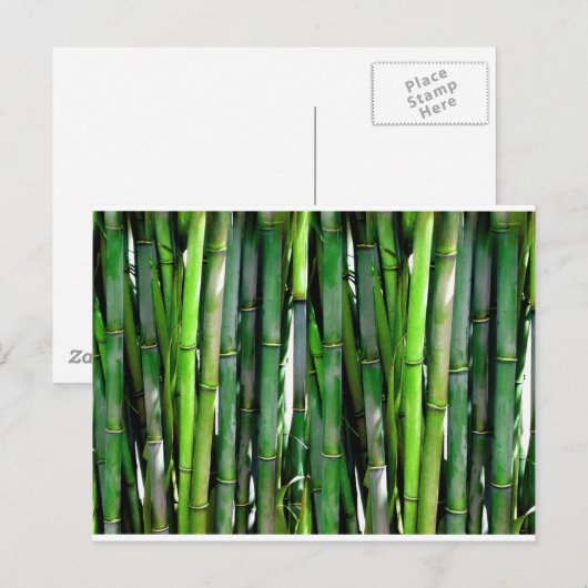 竹林自然 ポストカード (正面/裏面)