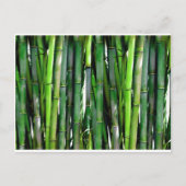 竹林自然 ポストカード (正面)