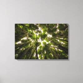 竹林 キャンバスプリント