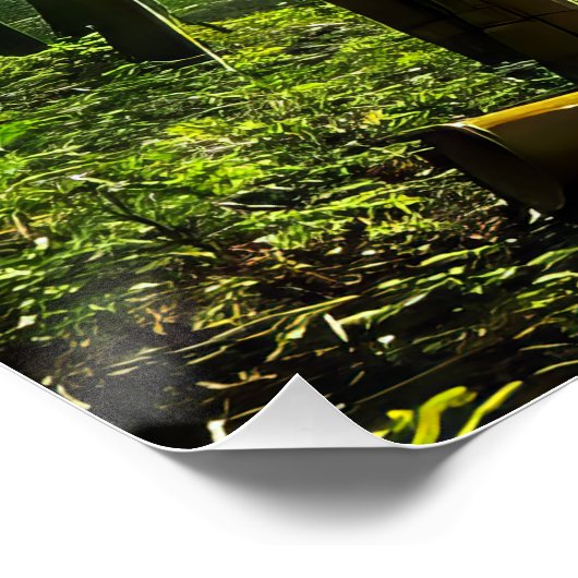 竹林 ポスター (コーナー)